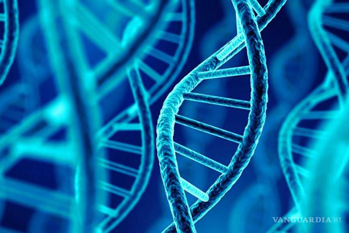 Presentan técnica para ‘editar’ ADN y prevenir enfermedades