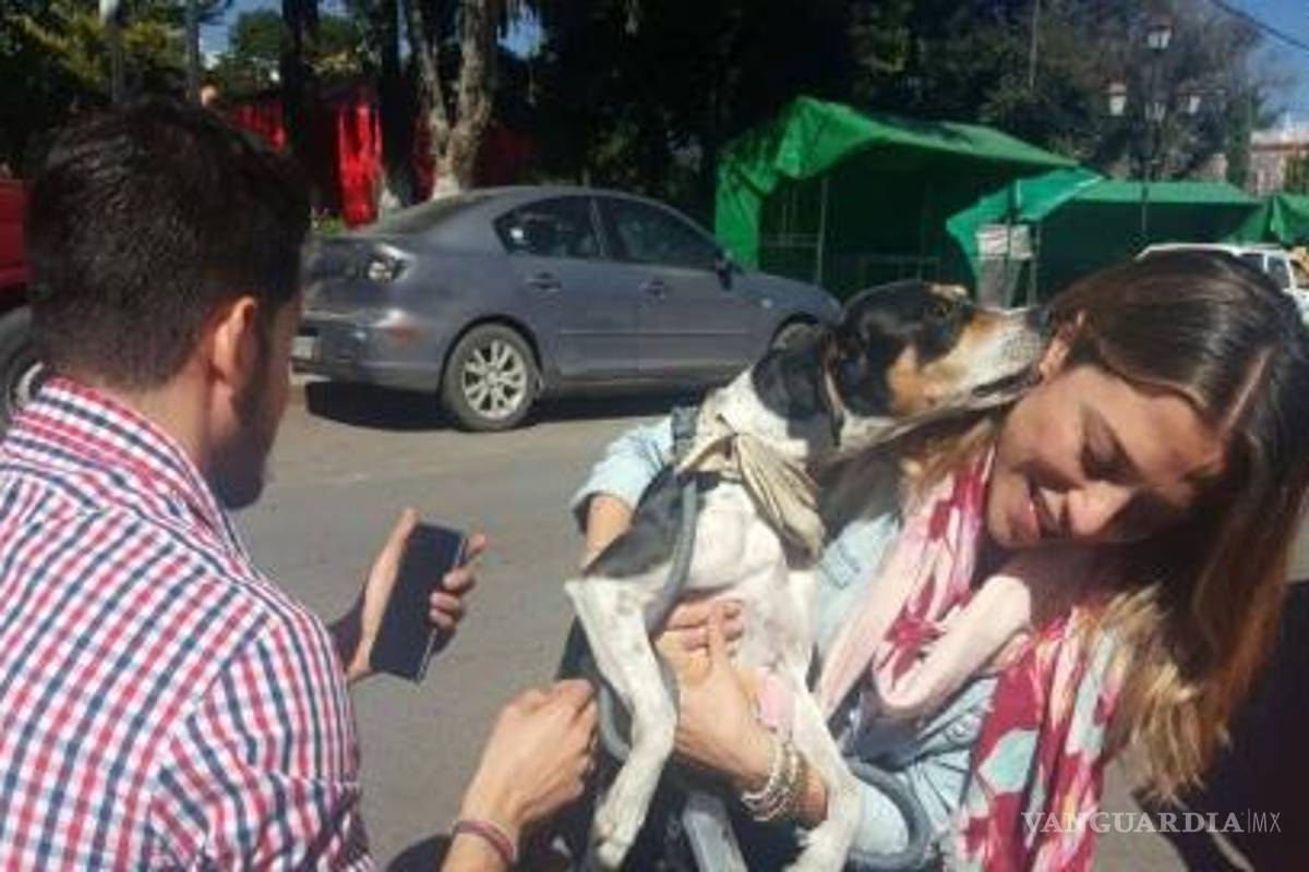 Aparece sana y salva Mika, la perrita extraviada por Interjet; no se sabe dónde estuvo