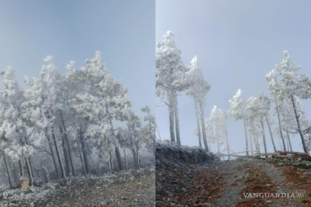$!La presencia de aguanieve fue reportada en las sierras de Iturbide y Galeana, al sur del estado de Nuevo León.