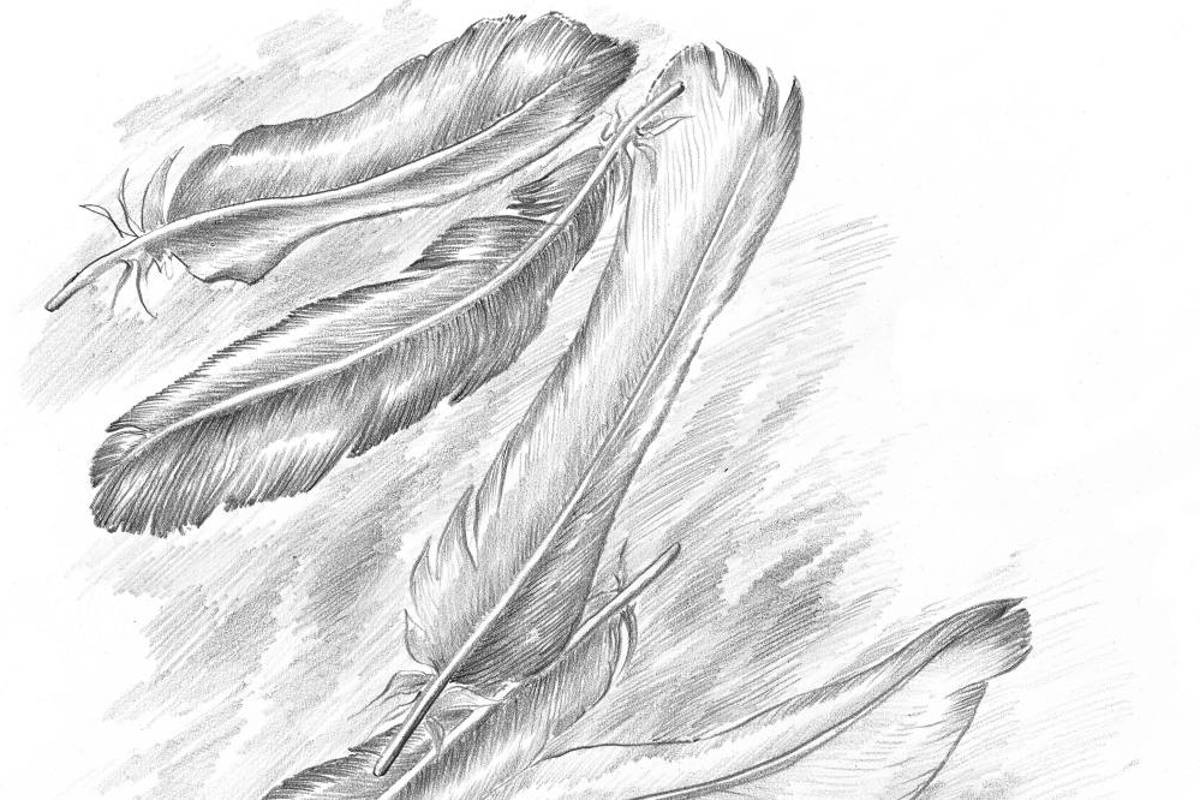 &quot;De la finitud&quot;, el regalo literario de Grass, un año después de su muerte