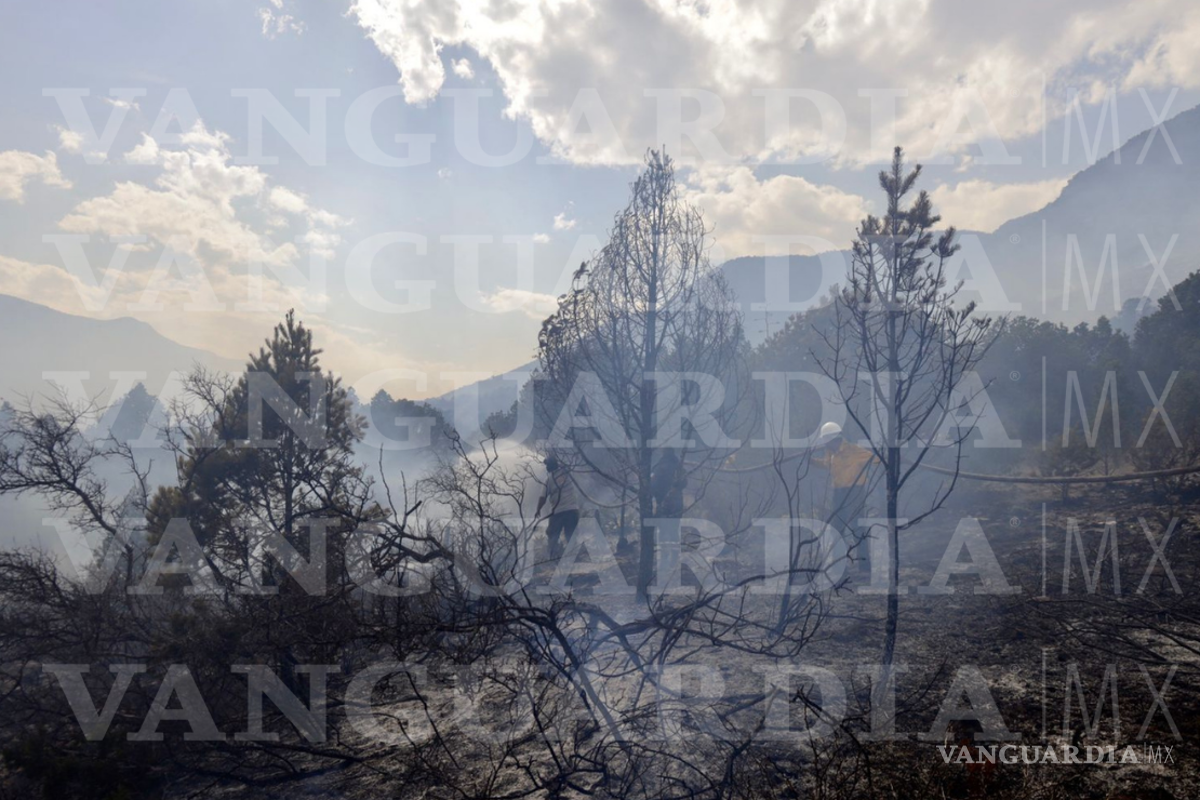 Se registra un nuevo incendio en ‘El Diamante’ de Arteaga