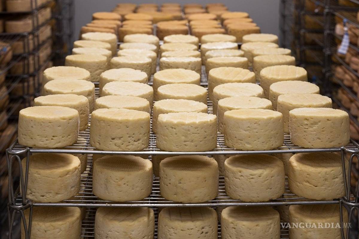 Te decimos como distinguir el queso real de los “plastiquesos”