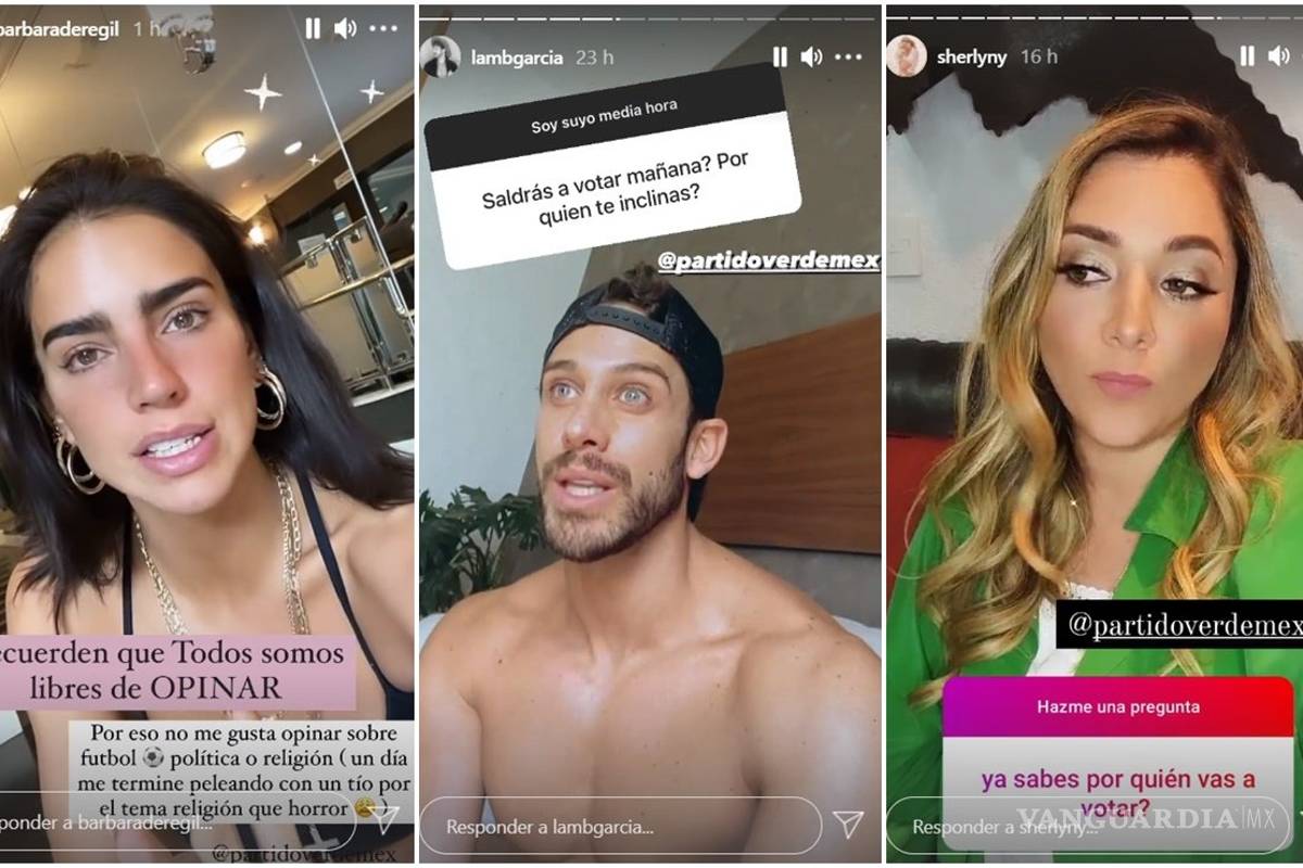 Multan con 40.9 mdp a PVEM por uso de influencers en veda electoral