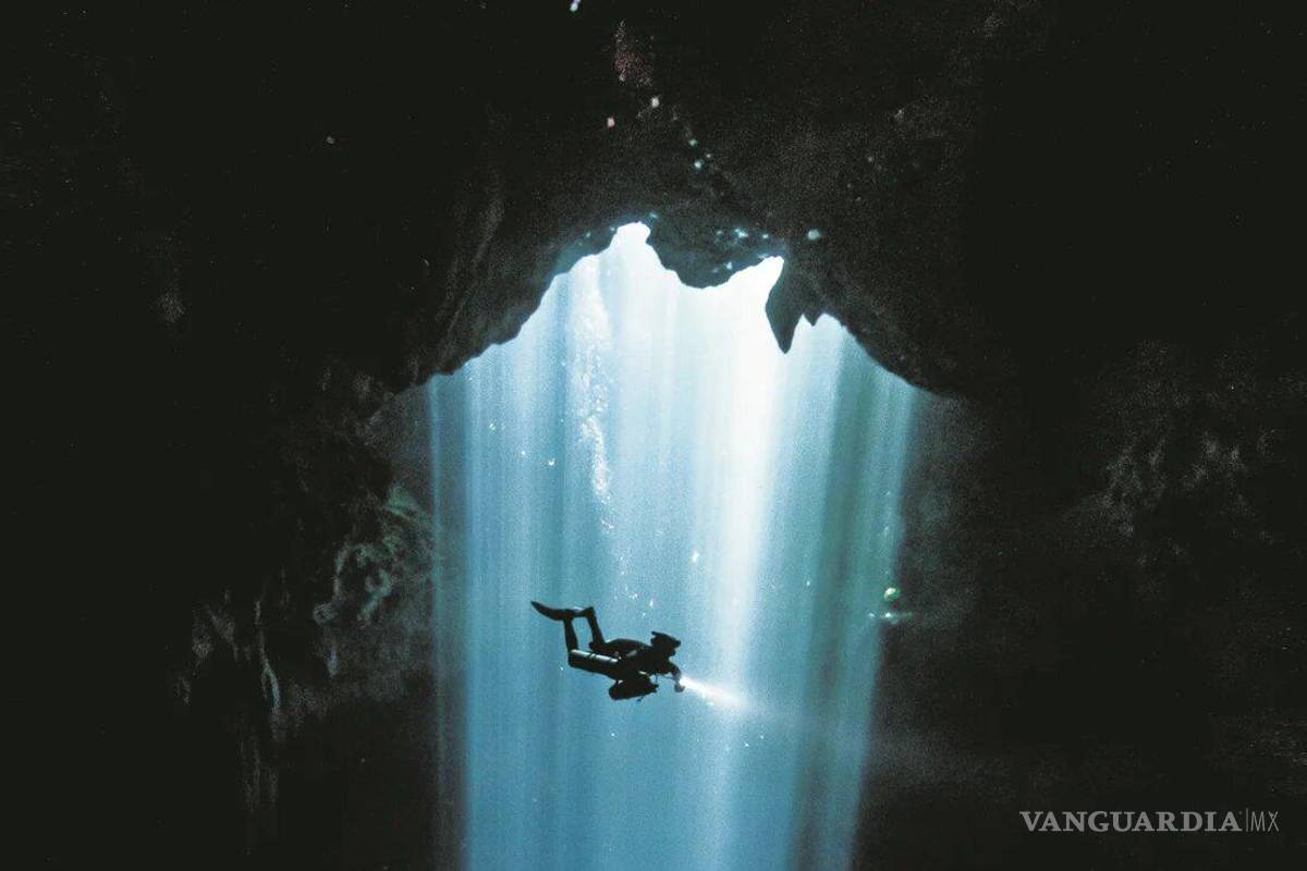 ¿Qué daños ambientales está por causar el Tren Maya y qué propone el movimiento ‘Sélvame del tren’?