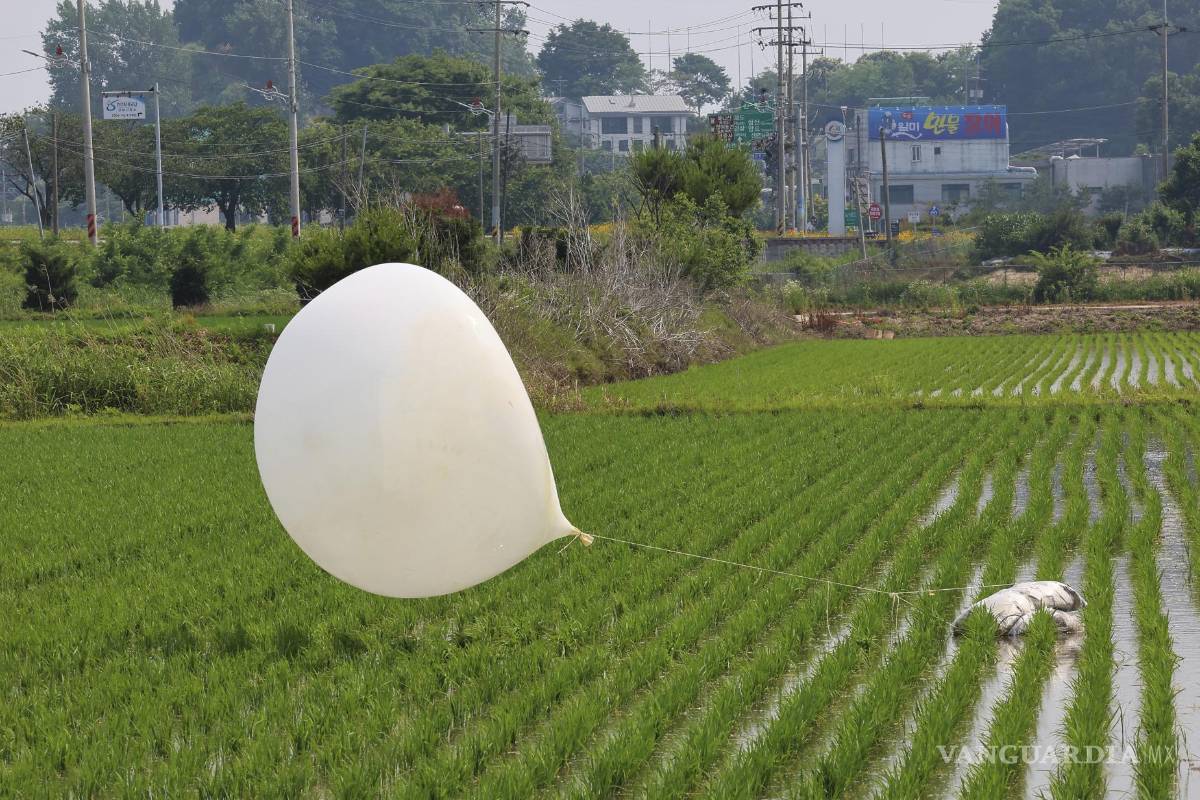 Lanzan globos de basura en Corea del Sur