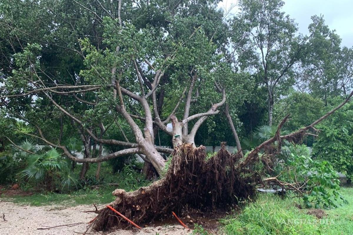 Cierran Chichén Itzá por daños provocados por Gamma