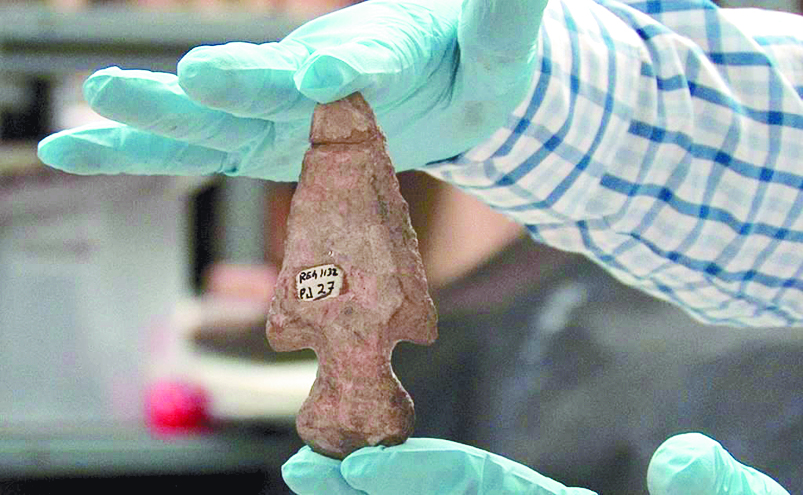 Vuelven a Coahuila fósiles robados en 2008