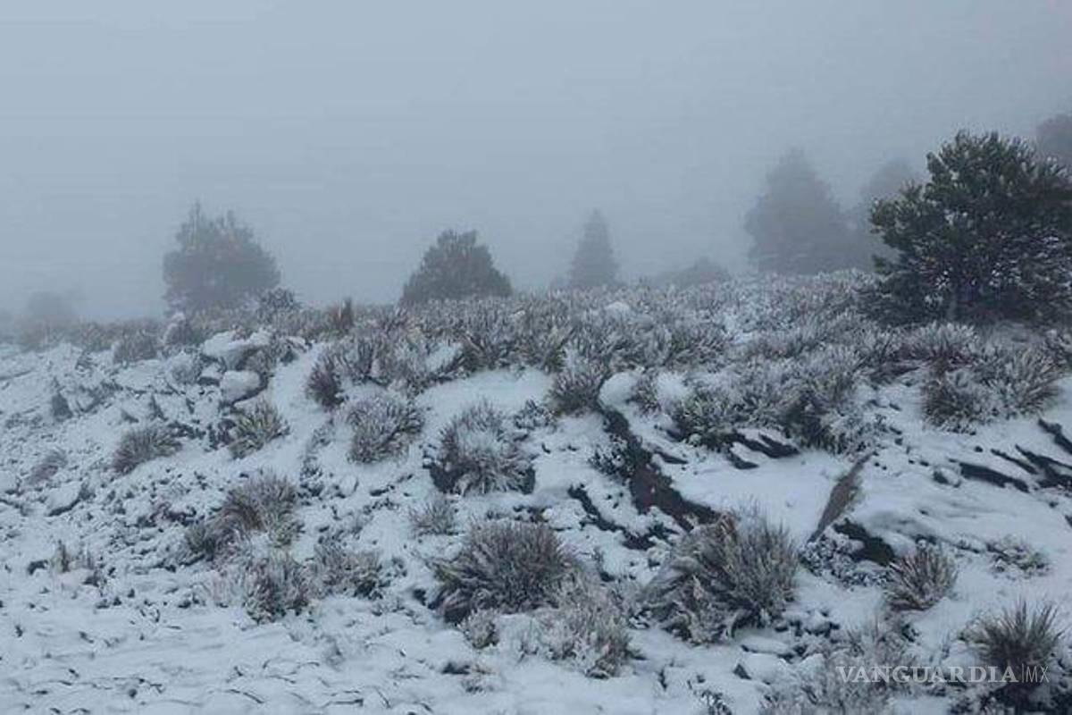 Nevada sorprende a Veracruz... frente frío 21 cubre de blanco a Cofre de Perote (videos)