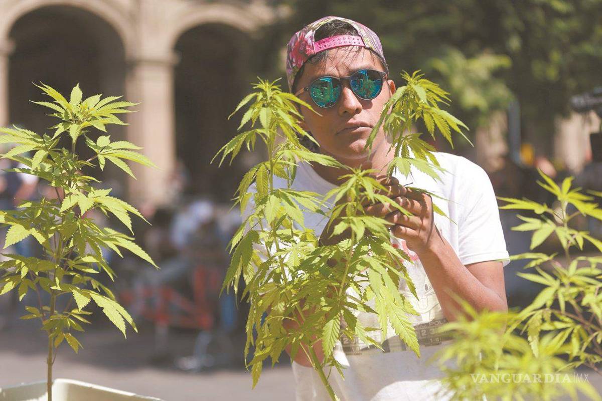 Fox encabezará evento cannábico