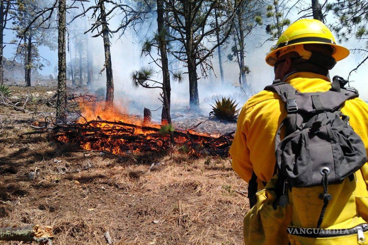 Pese a lluvias, aún se presentan incendios forestales en Coahuila