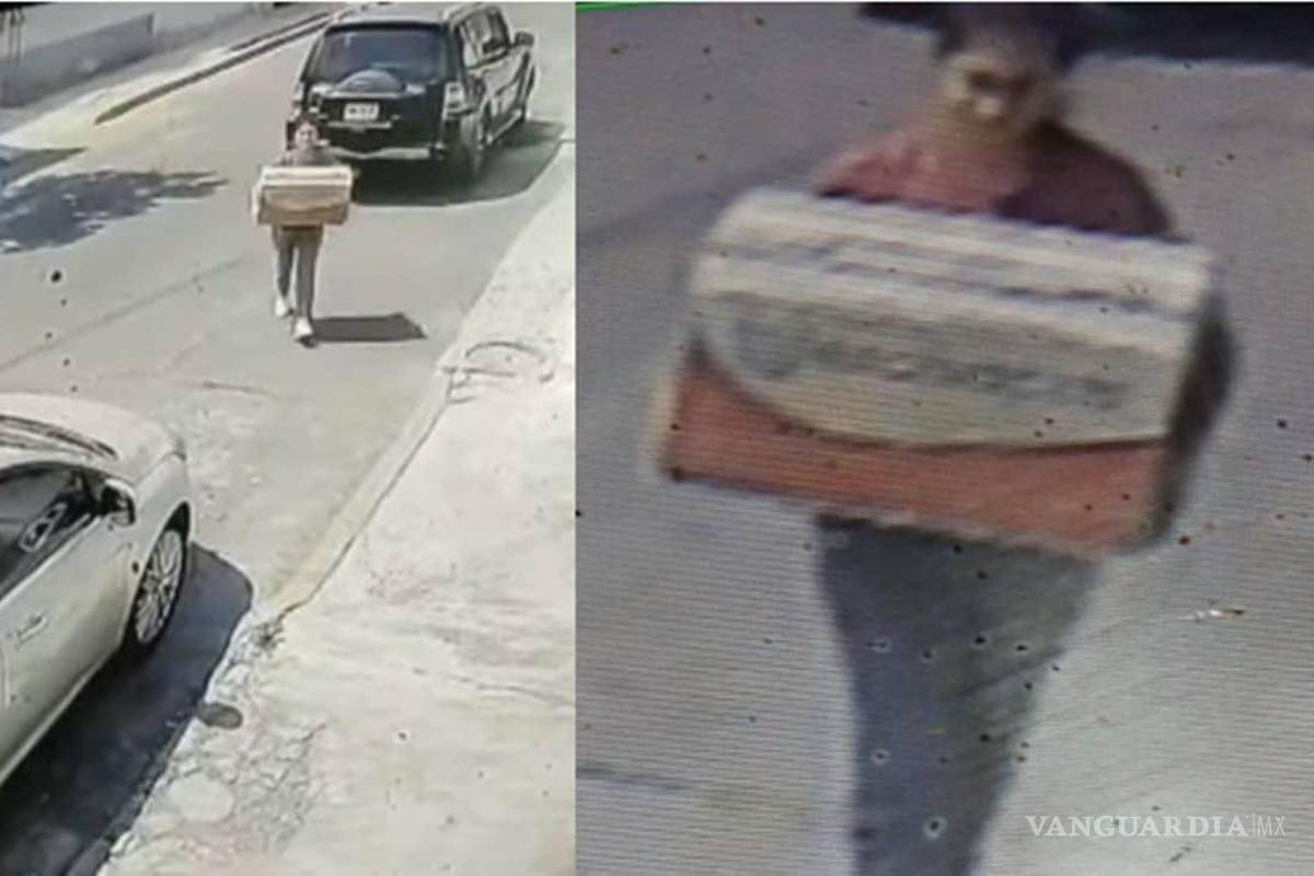 Mujer abandona caja con 8 cachorros en CDMX y mueren de calor