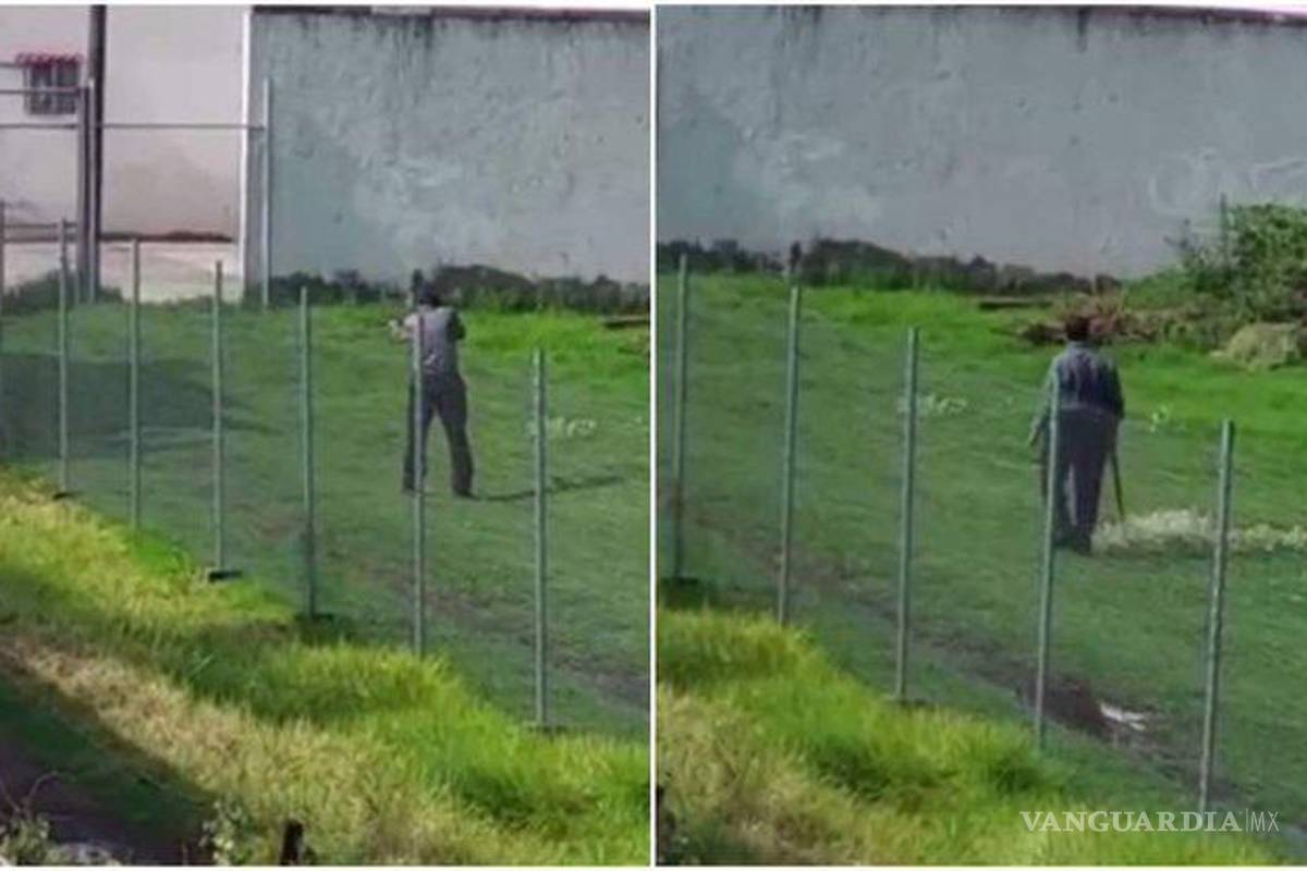 Funcionario mató con una escopeta a un perro en Edomex