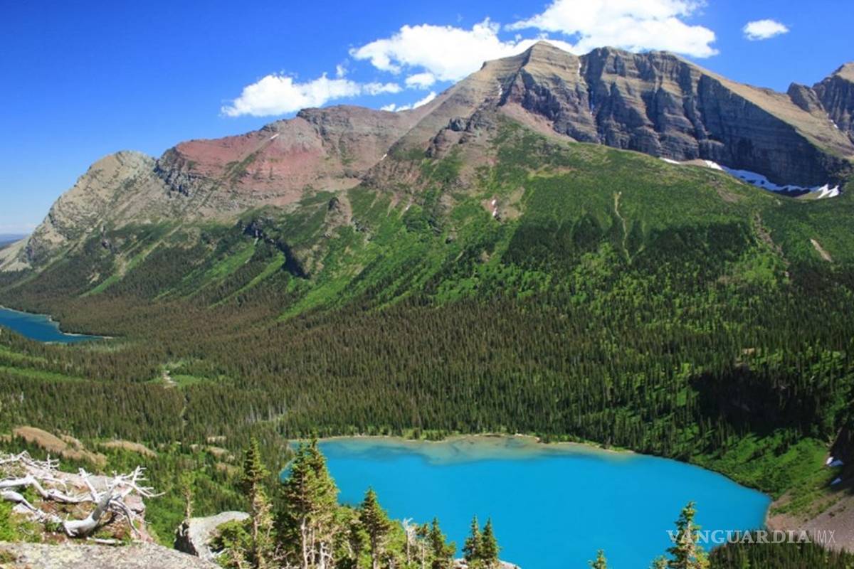 $!Advierte ecologista: 'Si Groenlandia se derrite, estaríamos asados por milenios'