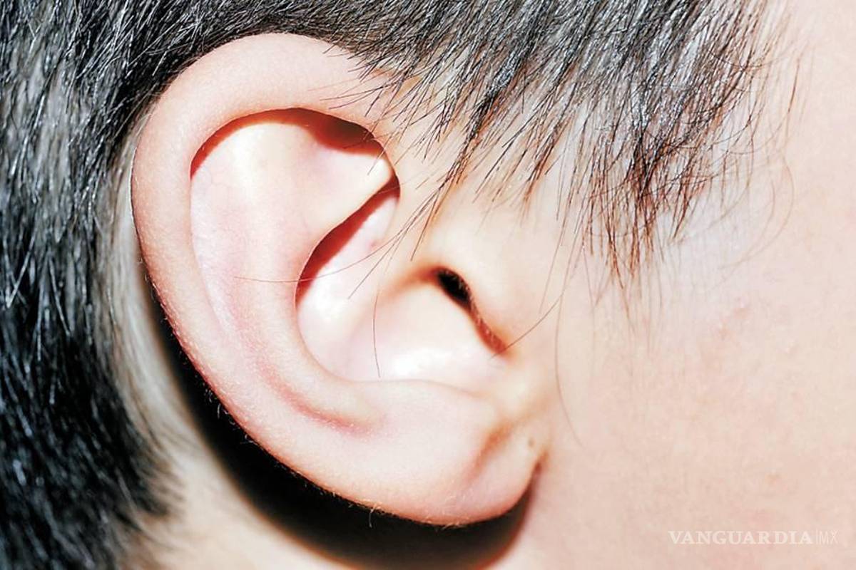 Desarrollan app para personas con debilidad auditiva