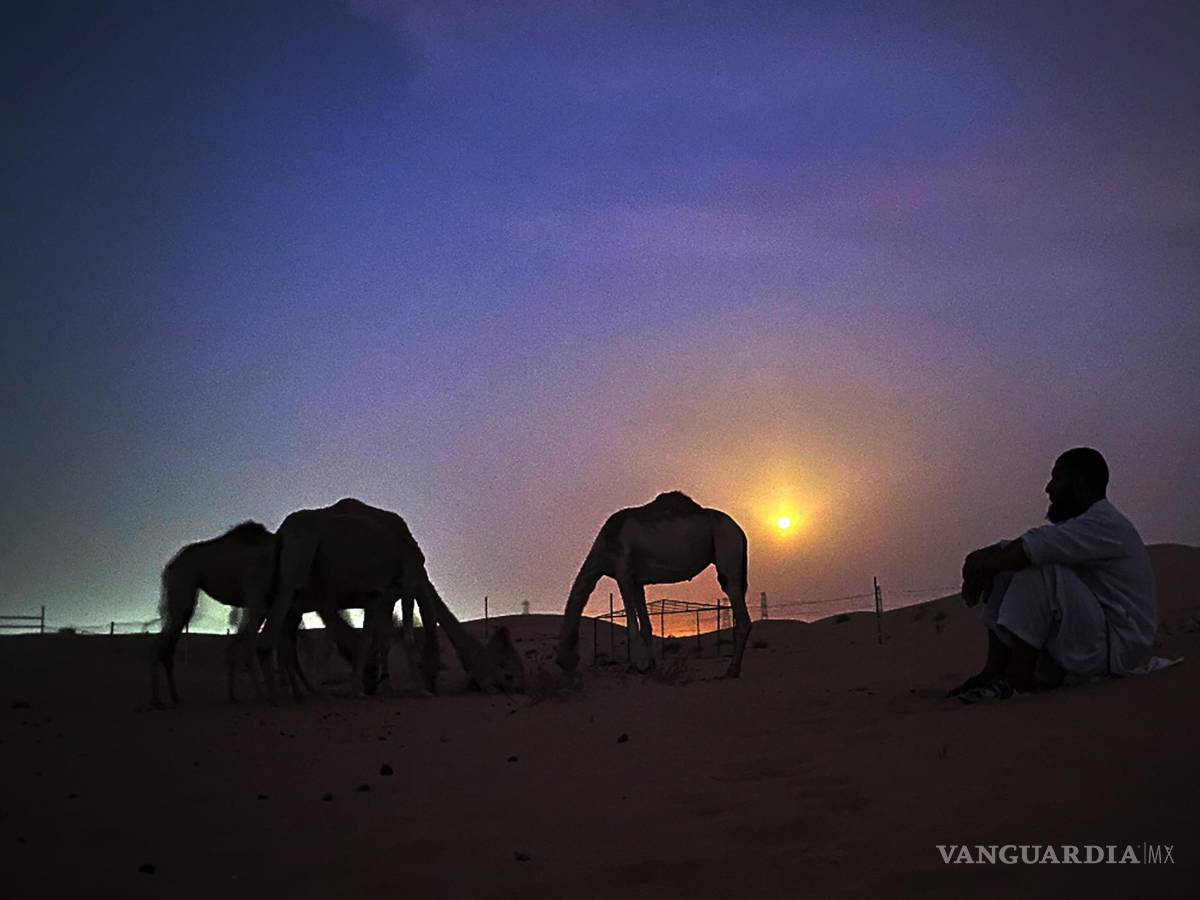 $!Un camello se para frente a la luna llena en el desierto de Al Marmoom, a unos 40 km al sureste de Dubái, Emiratos Árabes Unidos.