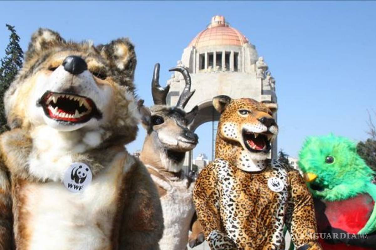 $!Marchan en México por acuerdo global en COP21 y aprobación de ley energética