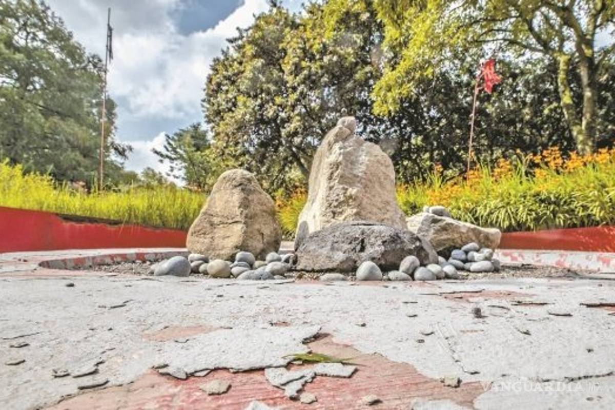 $!Arrasarán con Jardín Botánico de Chapultepec para construir nuevo museo