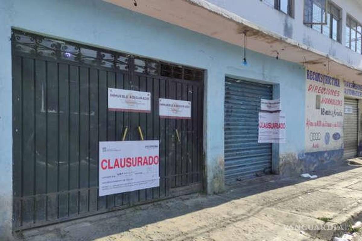 Rescatan a 95 perros de ser vendidos como carne para alimento en Edomex