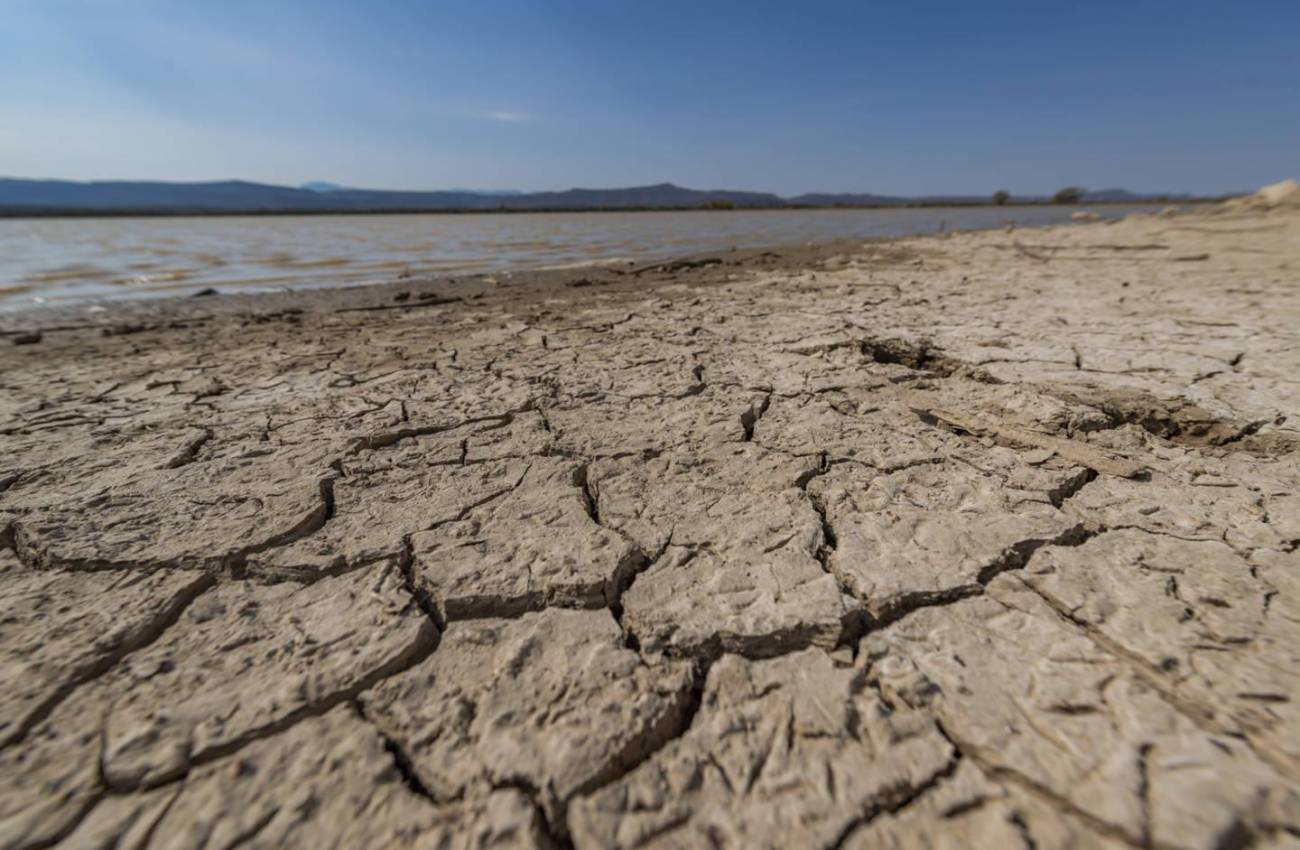 Campo, sequía y omisión, secan acuífero de Coahuila