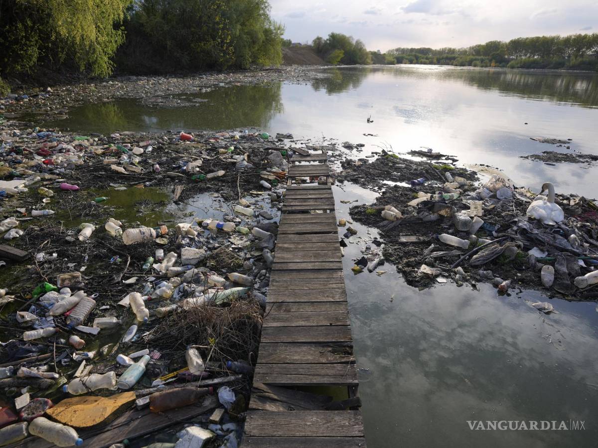 $!La basura ha inundado una parte considerable de los mares y océanos.
