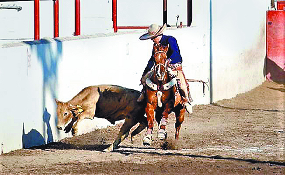 Charros muestran habilidad en coleadero