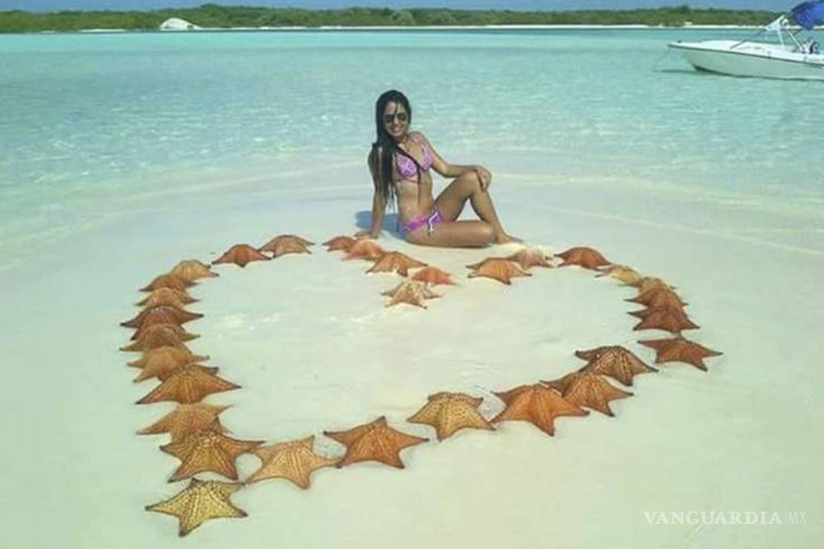 Arde Facebook, chica mata 31 estrellas de mar para posar en una foto