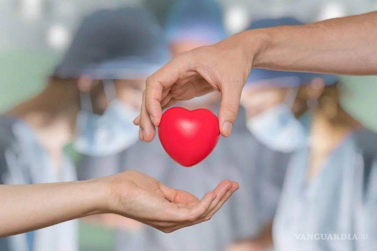 IMSS destaca primera procuración multiorgánica de 2025 en Saltillo