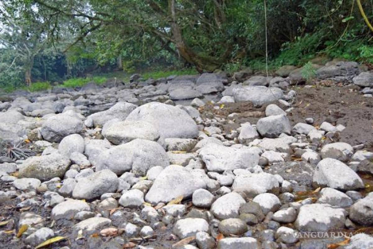 Reportan que un río se está secando en Veracruz