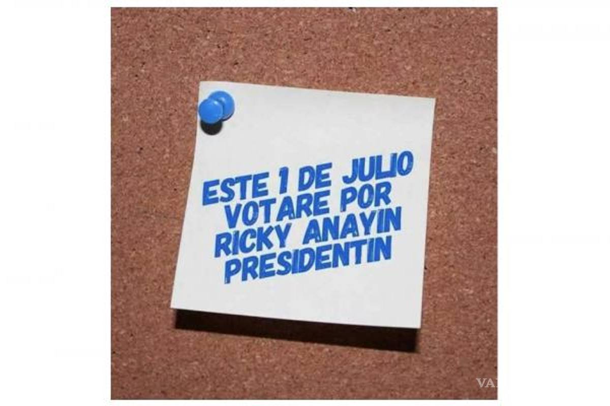 Lanzan panistas campaña por &quot;Ricky Anayín Presidentín&quot;