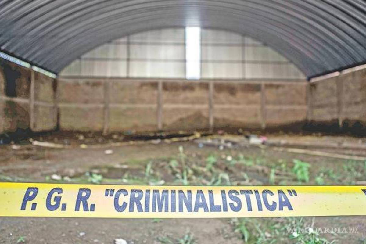 La bodega de Tlatlaya era casa de seguridad: testigo