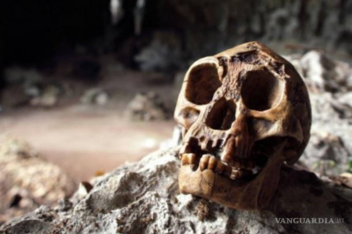 Homo sapiens son responsables de la desaparición de los "hobbits"