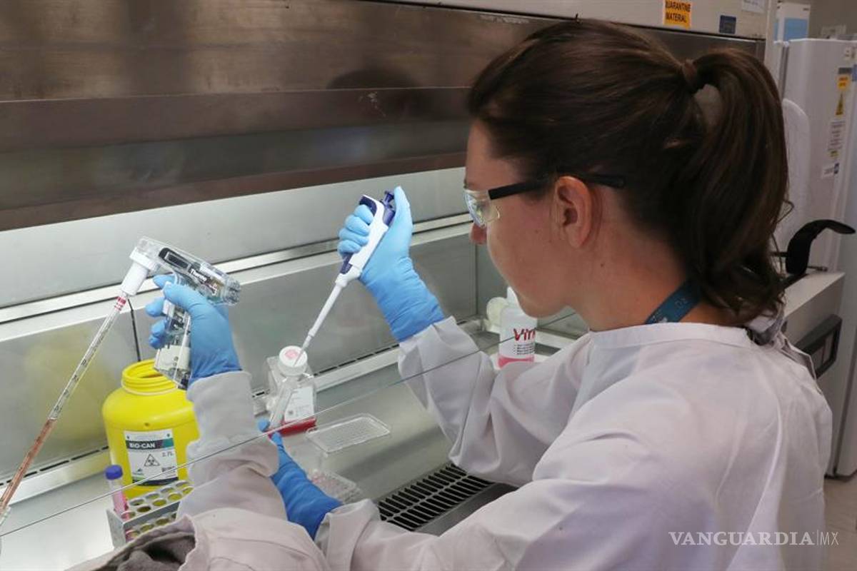 ¿Qué tipo de vacunas están desarrollando los laboratorios contra el coronavirus COVID-19?