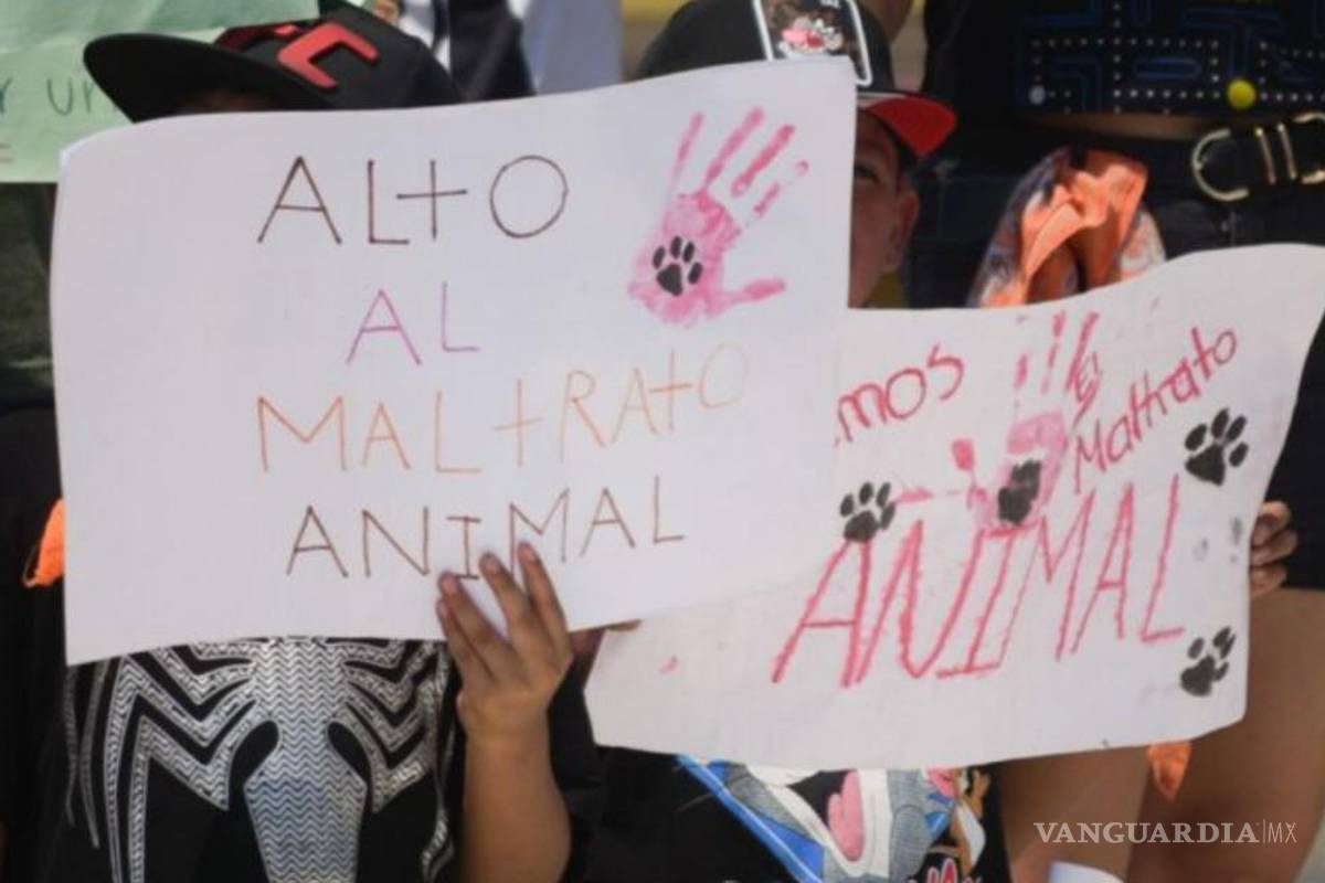 Coahuila: Piedras Negras y Bar Oklahoma tienen plazo para pagar multa por maltrato animal