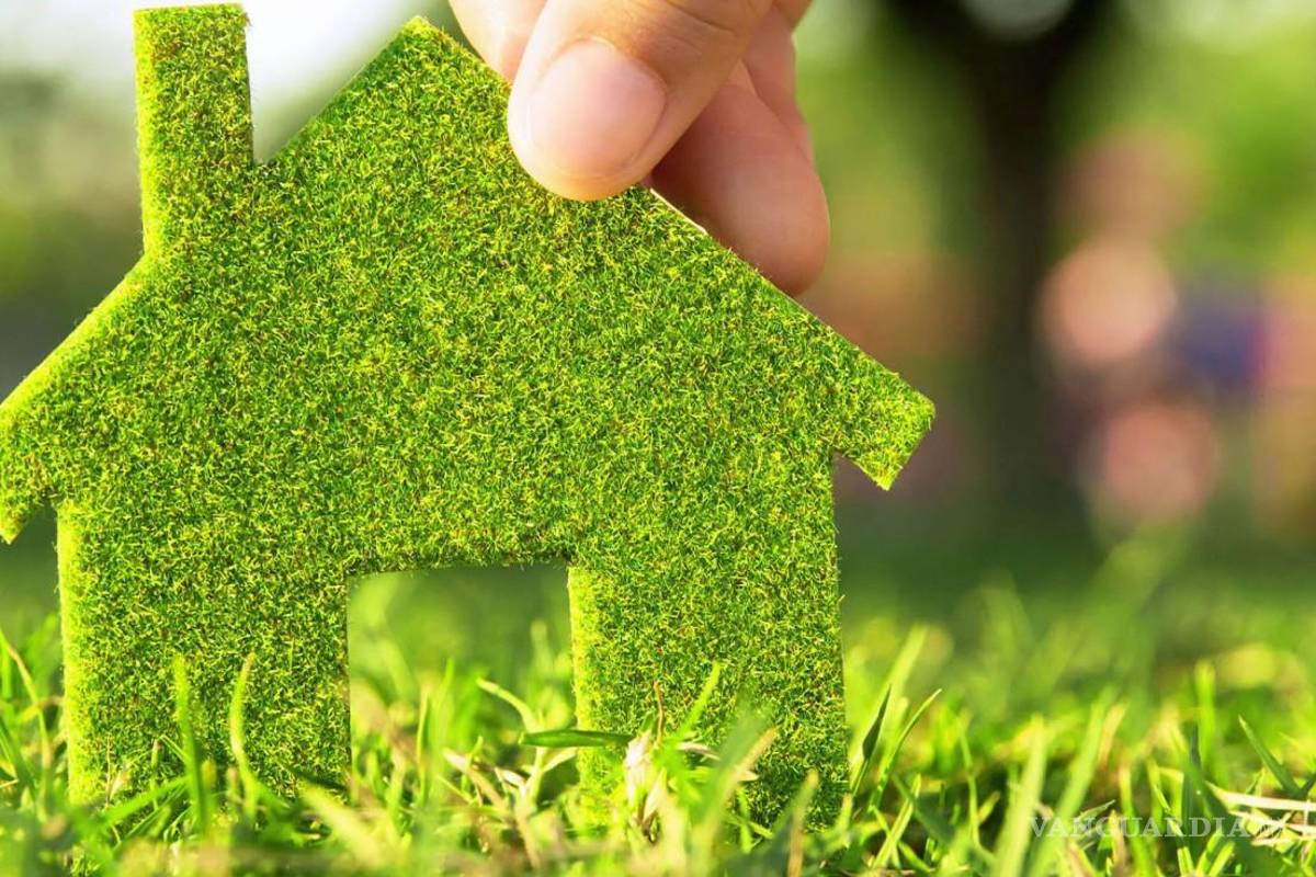 Proponen diputadas impulsar la construcción ecológica