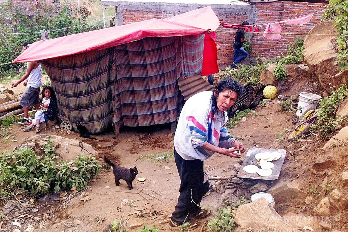 &quot;Ni dolo ni mala fe&quot; al cambiar criterios para encuestas: Inegi