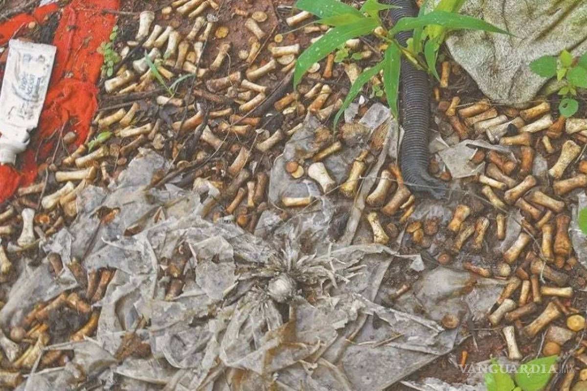 Terror en Sinaloa... encuentran en Culiacán 2 mil restos oseos de niños, adolescentes y adultos