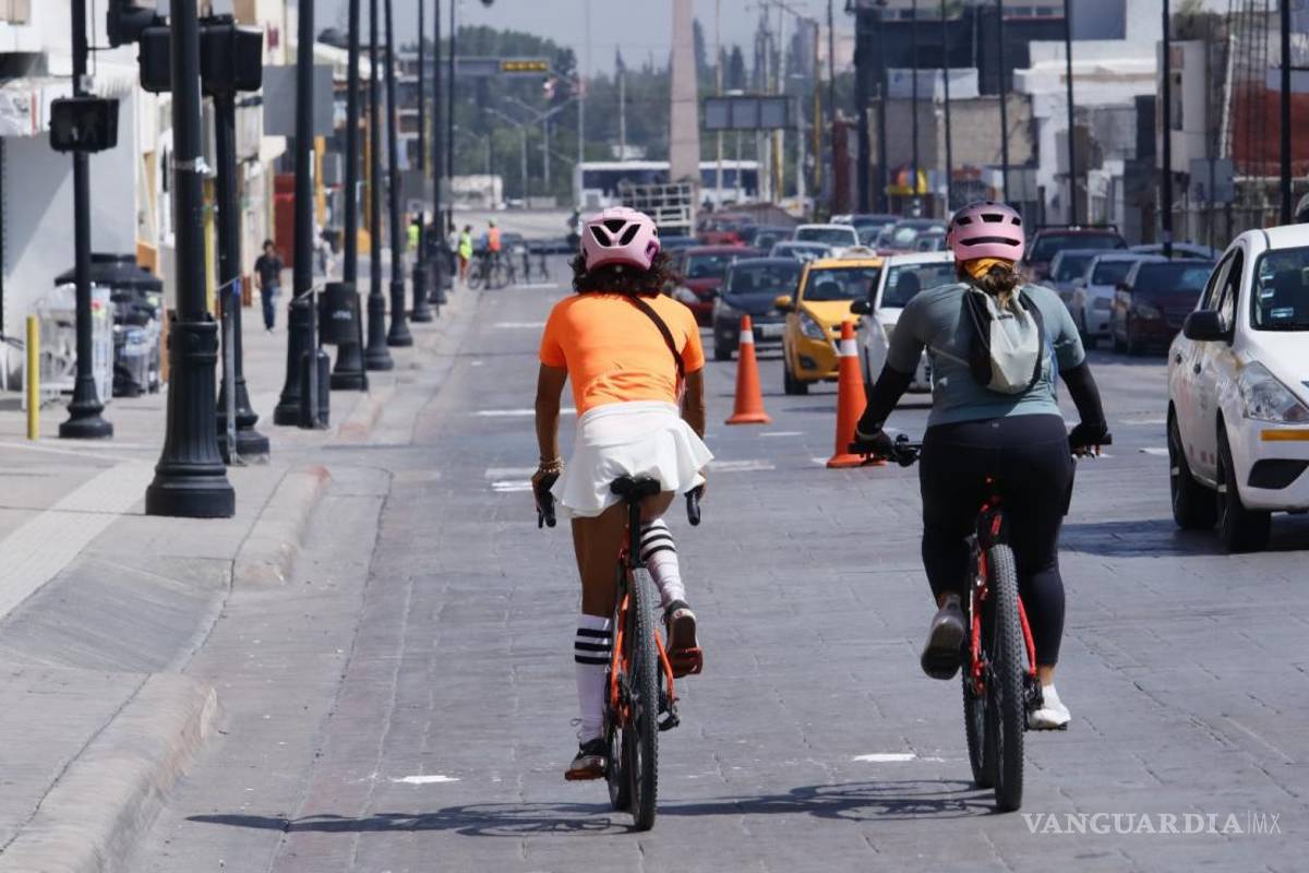 La bicicleta, aliada indiscutible de la sustentabilidad urbana