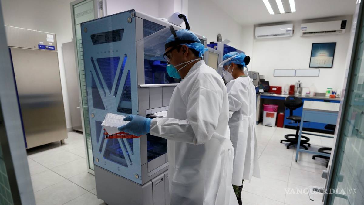 OMS: 10% de la población mundial ha tenido coronavirus