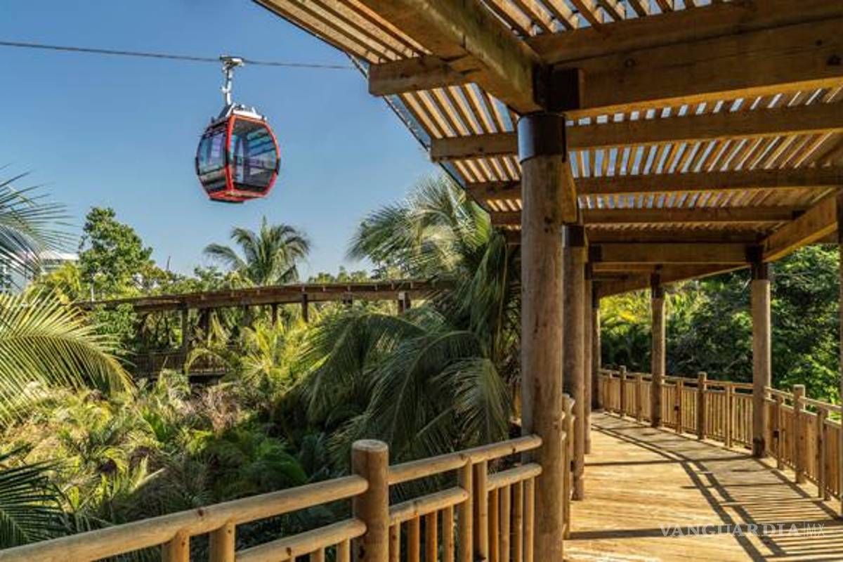 Grupo Vidanta aumenta la ruta de teleférico en Riviera Nayarit sin autorización de Semarnat: MCCI