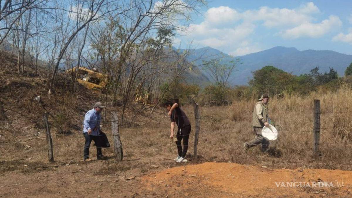 Sacan barita de mina en Chiapas, ¡con hombres armados!