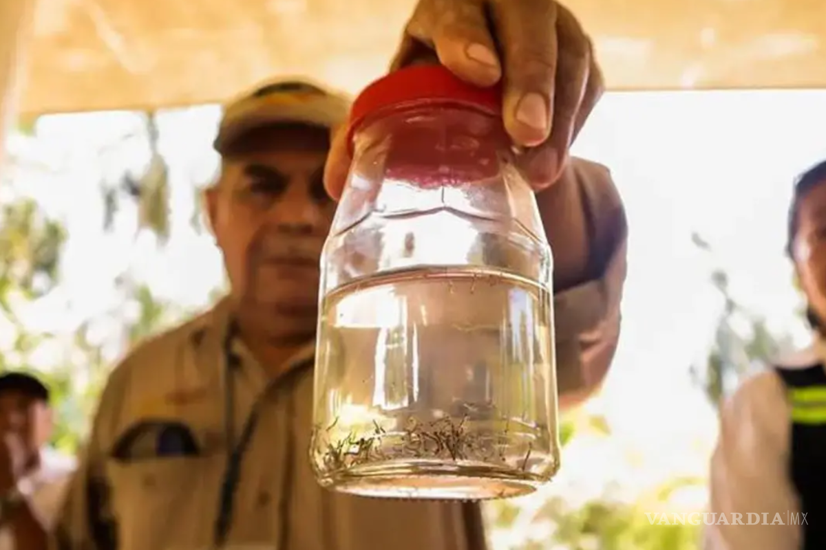 Coahuila: se disparan casos de dengue en verano