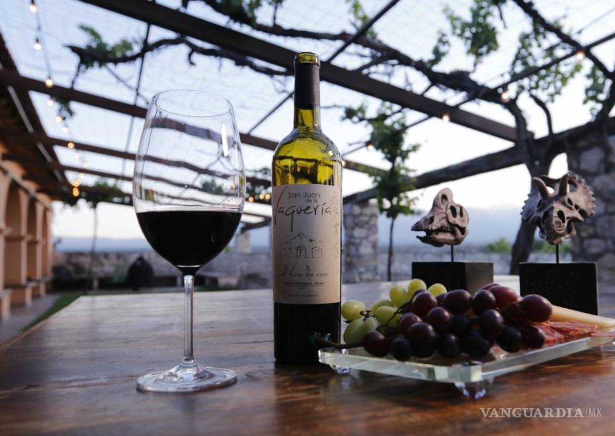 Saltillo: relanzarán sitio de la Ruta Vinos y Dinos para este verano