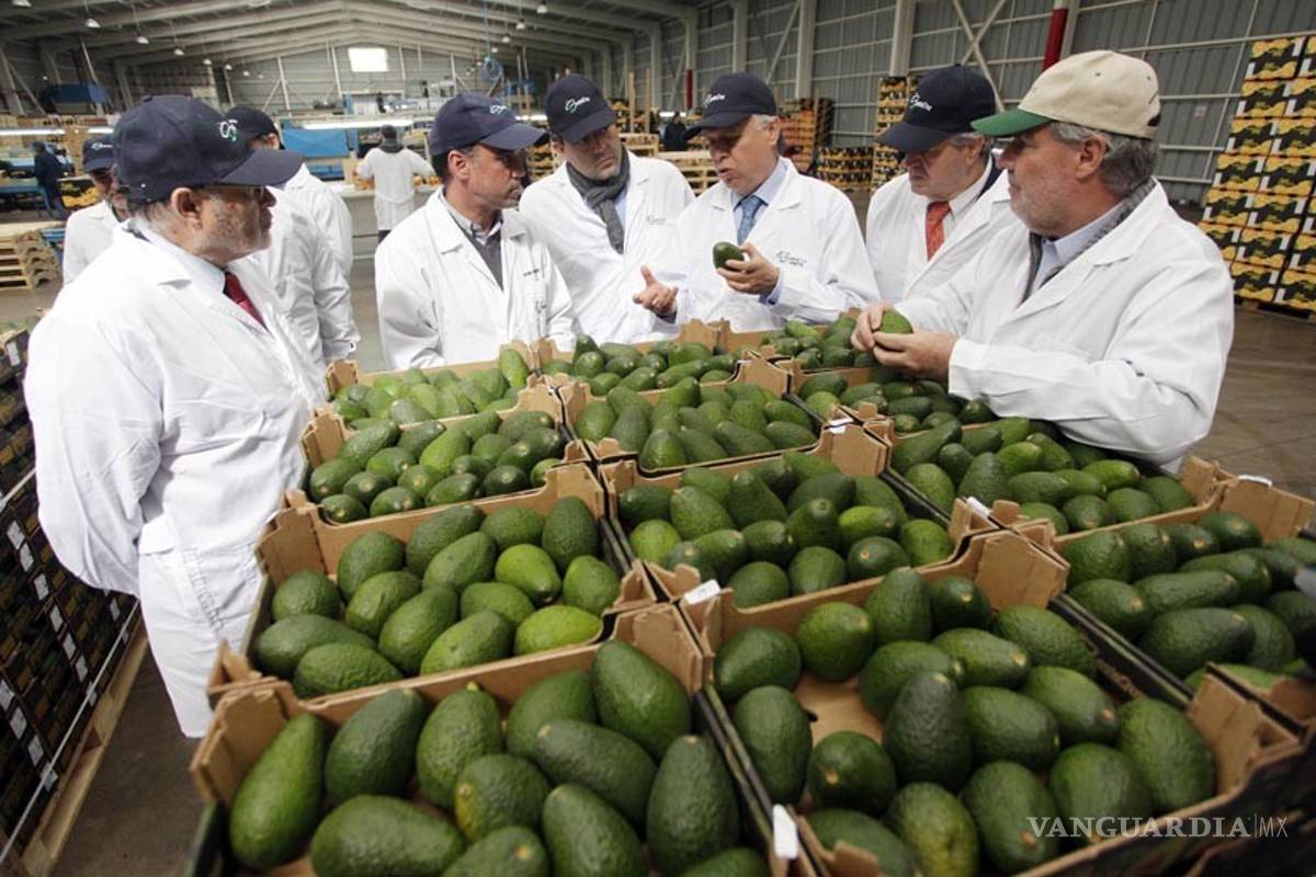 Exportaciones agrícolas rebasan a petróleo y remesas: Sagarpa