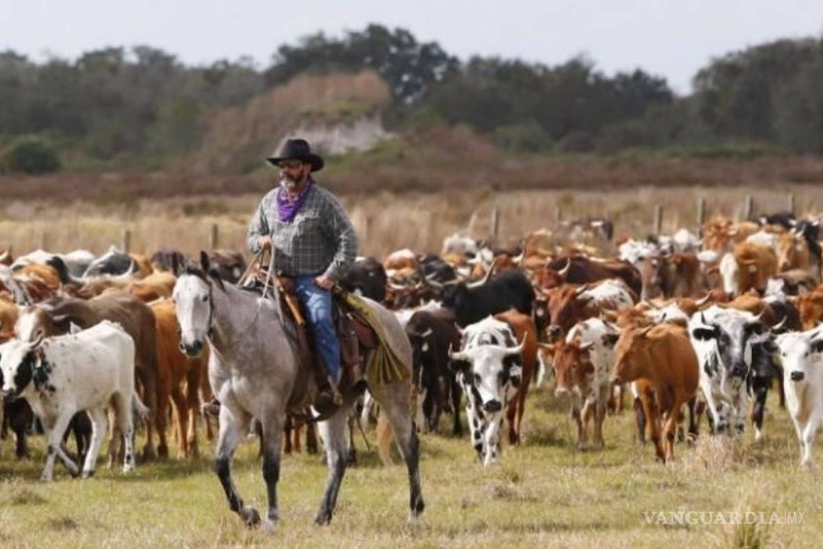 Ganaderos piden más recursos para impulsar al sector