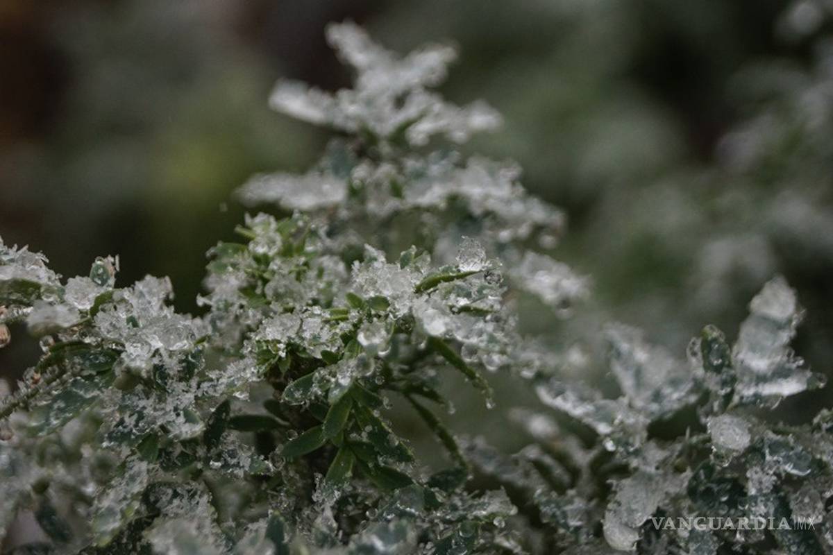 Pronostican en La Laguna caída de aguanieve para jueves y viernes