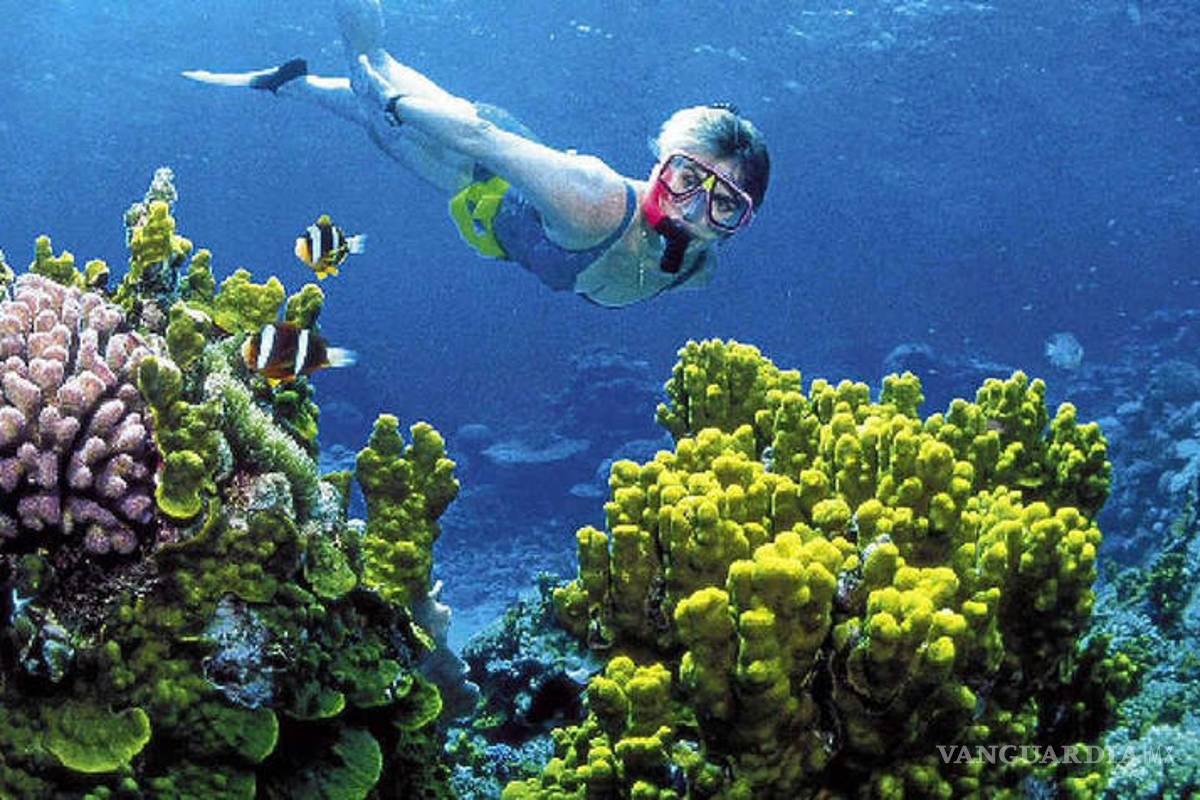 En riesgo, el segundo arrecife más grande del mundo, en Quintana Roo