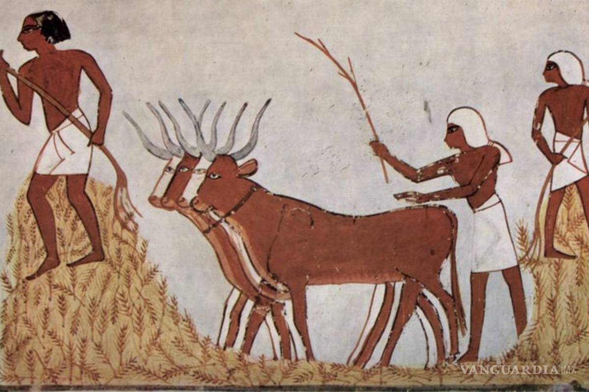 $!Génesis del arado