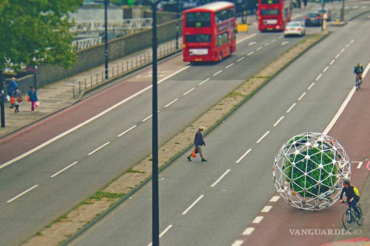 $!Hortum machina, el jardín errante