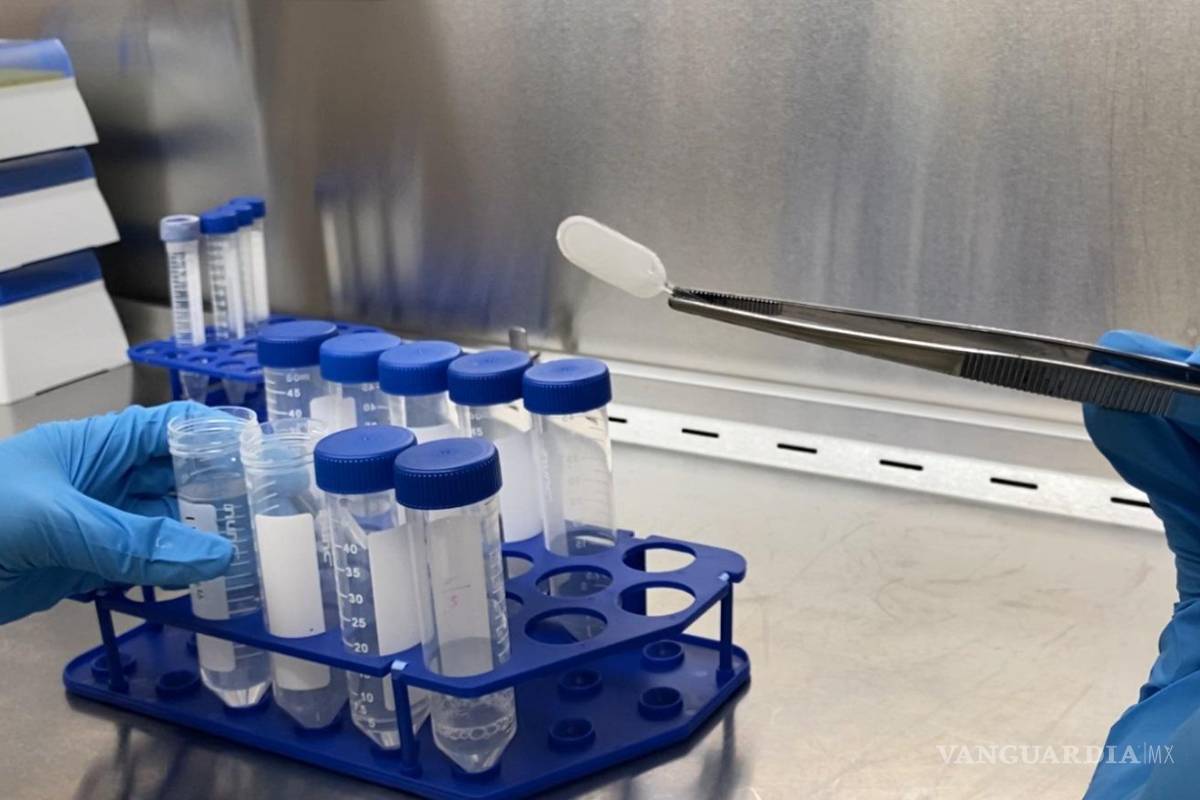 $!Dispositivo centinela en el Laboratorio del Dr. Timothy Kieffer. Foto de University of British Columbia.