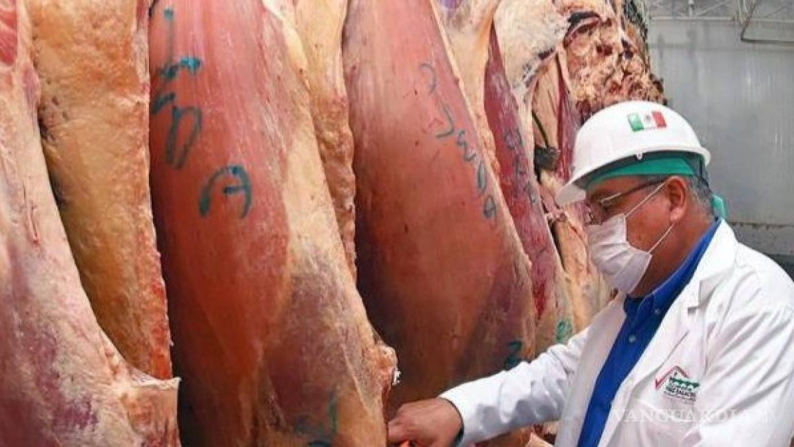 Decomisan 80 toneladas de carne contaminada en rastros de Gómez Palacio y Lerdo